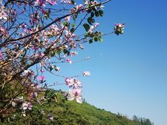 -小南山公园