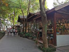 -天目湖山水园
