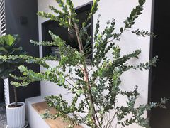 -光舍(香榭里花园店)