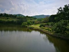 -大屏嶂森林公园