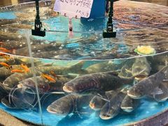 -魏铭鱼头捞饭(晋阳路店)