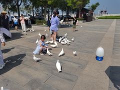 -天津妈祖文化园