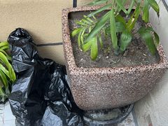 -魏家凉皮(次渠店)