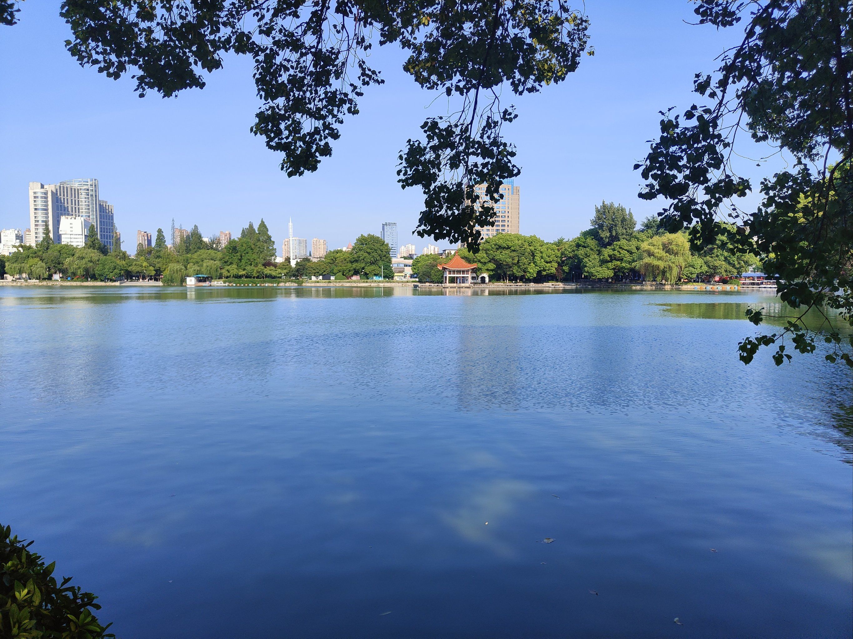 天天领红包 芜湖市镜湖,风景优美,景色