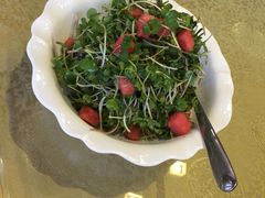 果味萝卜苗-山东八大碗山东老字号