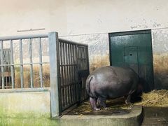 -无锡动物园·太湖欢乐园