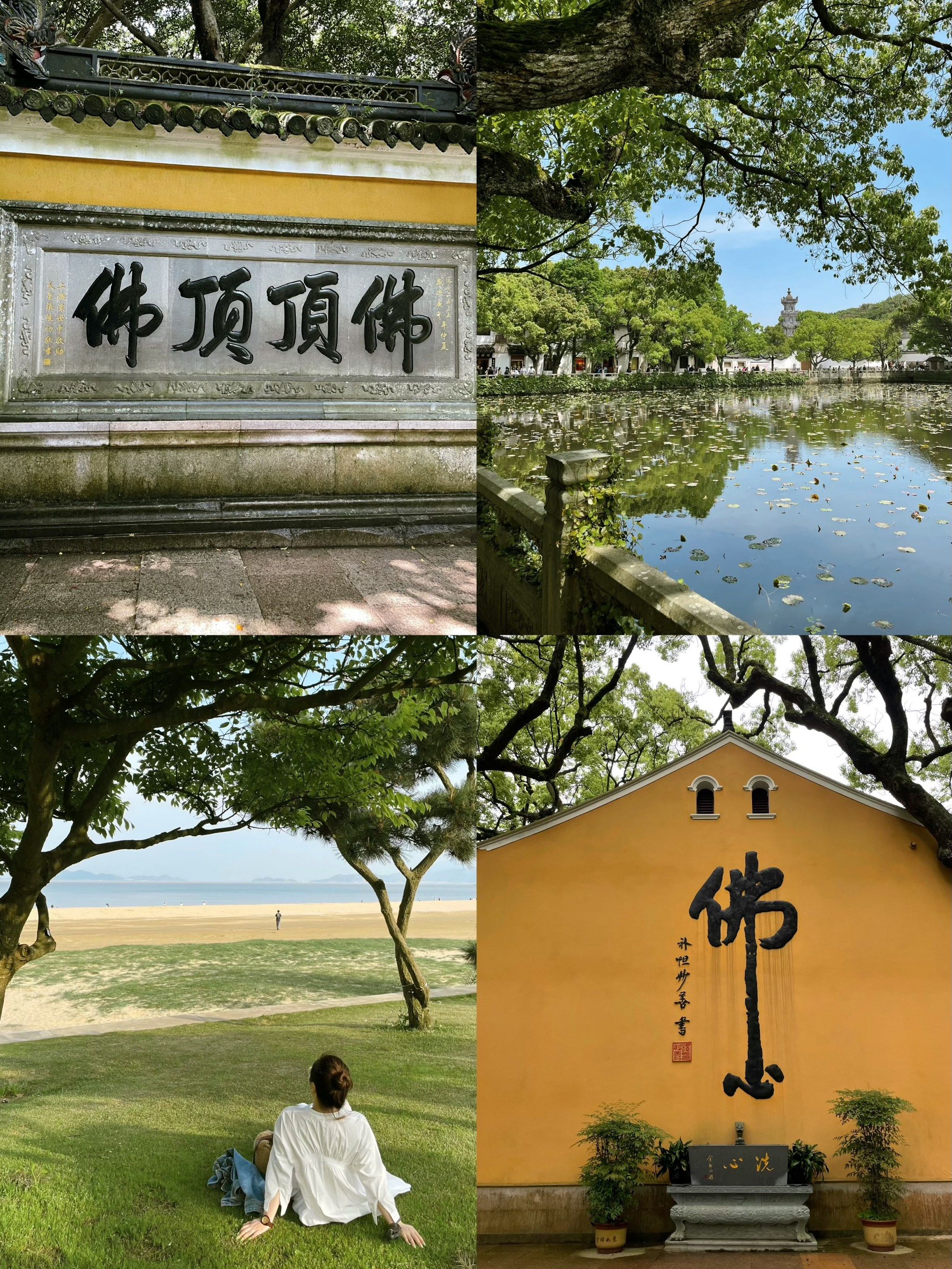 普陀山必打卡的礼佛圣景089998069795附位置