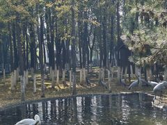 -艾溪湖湿地公园