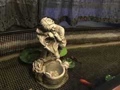 -江南原著(中联广场店)