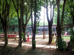 -马咖啡macup·意式轻餐·观景餐厅