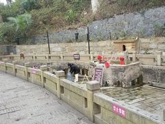 -白沙古井