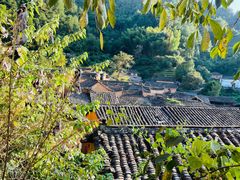 -杨家堂村