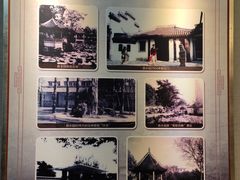 -上海醉白池公园