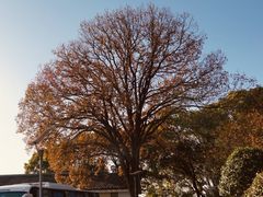 -上海市保健医疗中心