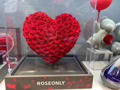-ROSEONLY诺誓(广州K11店)