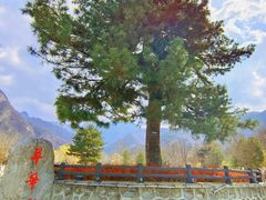 -秦岭终南山世界地质公园翠华山景区