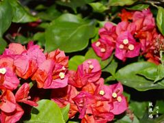 -娜娜度假小旅馆