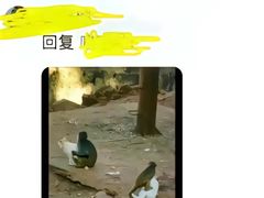 -昆明动物园