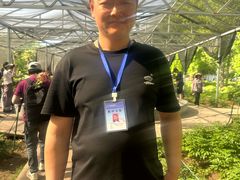 -洛阳市隋唐城遗址植物园