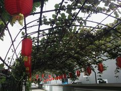 顶棚-大海别墅民宿农家院(十渡店)