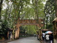 -灵谷景区