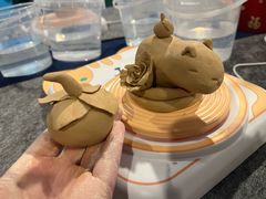 -海合安武汉极地海洋公园