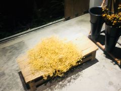 -馬蘭花開(车站大道店)