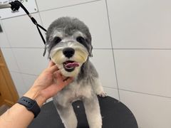 -帕帕拉兹宠物(亚洲旗舰店)