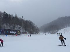 -亚布力新体委滑雪场