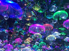 -天津梵高星空艺术馆(天河城旗舰店)