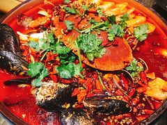 -庆合府重庆大排档(紫都城店)