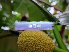 -北戴河集发农业梦想王国