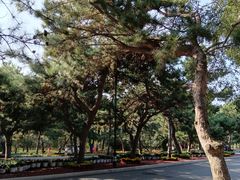 -北陵公园