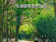-苏州太湖国家湿地公园