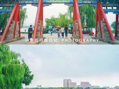 -济南大明湖景区
