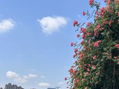 -Burn Fit燃炼健身工作室(新都旗舰店)