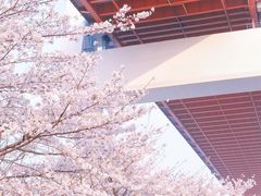 -南浦大桥长途旅游客运站