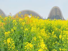 -中国天府农业博览园