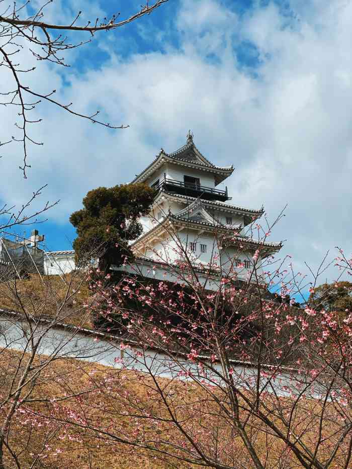 挂川城-"用完午餐,还有半小时的休息时间,于是正好."-大众点评移动版