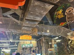 -正佳雨林生态植物园
