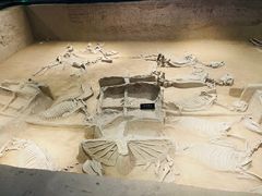 -洛阳周王城天子驾六博物馆