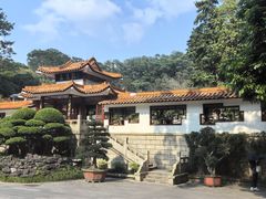 -深圳仙湖植物园
