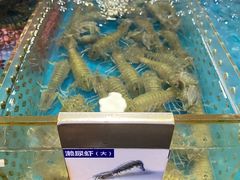 -四川小胡子海鲜(丁村万人海鲜广场店)