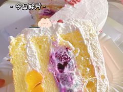 -今日·TODAY手作低脂动物奶油蛋糕定制(高新万达店)