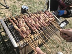 -268童话露营农场·烧烤·团建