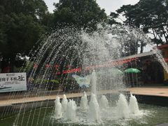 -松山湖梦幻百花洲