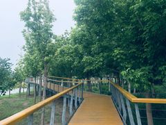 -东郊湿地公园