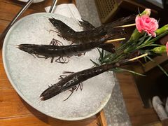 -禄婶鸡煲·打边炉