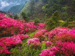 -木兰云雾山