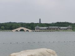 -泗洪洪泽湖湿地景区